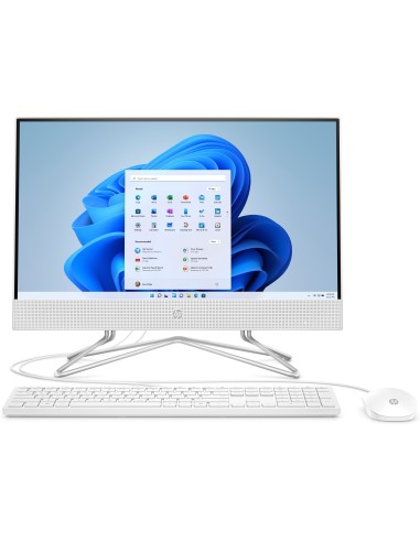 HP All-in-One 22-dd0005ns Bundle PC