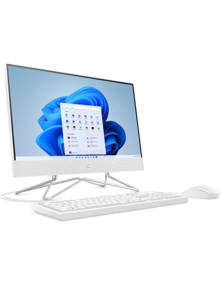 HP All-in-One 22-dd0005ns Bundle PC