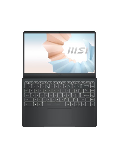 MSI Modern 14 B10MW-612XES Portátil 35,6 cm (14") Full HD In
