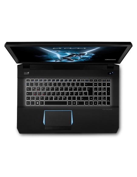 MEDION ERAZER X7847 DDR4-SDRAM Portátil 43,9 cm (17.3") 1920 x 1080 Pixeles 6ª generación de procesadores Intel® Core™ i7 32 GB