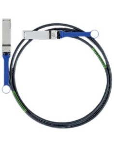 Intel 100CQQH2620 cable de red Negro 2 m