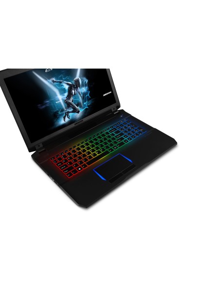 MEDION ERAZER X7853 DDR4-SDRAM Portátil 43,9 cm (17.3") 1920 x 1080 Pixeles 7ª generación de procesadores Intel® Core™ i7 32 GB