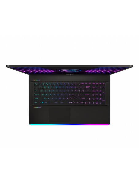 PORTÁTIL MSI RAIDER GE77HX 12UHS-018ES