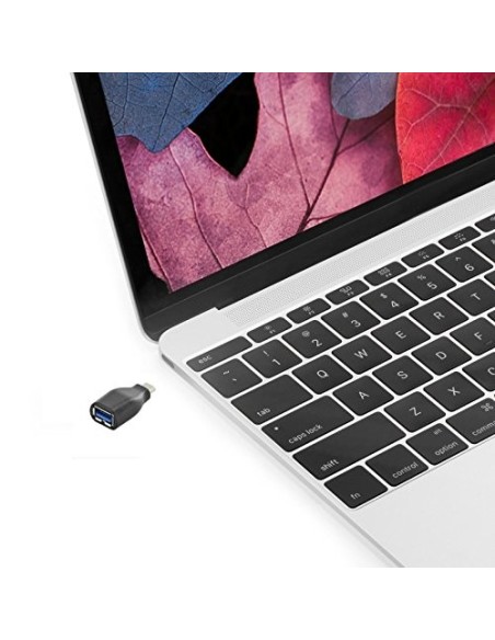 Ewent EW-100518-000-N-P cambiador de género para cable USB 3.1 Type C USB 3.1 Type A Negro