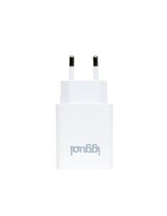iggual Cargador de pared 1xUSB 5V 2.4A (12W)