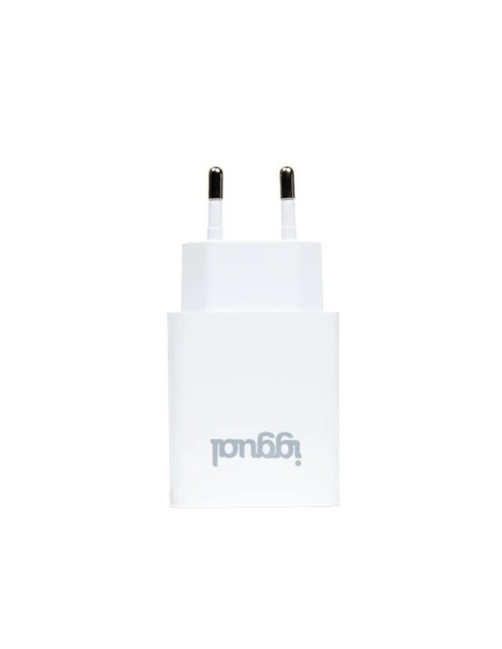 iggual Cargador de pared 1xUSB 5V 2.4A (12W)