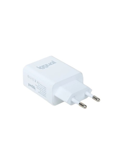 iggual Cargador de pared 1xUSB 5V 2.4A (12W)