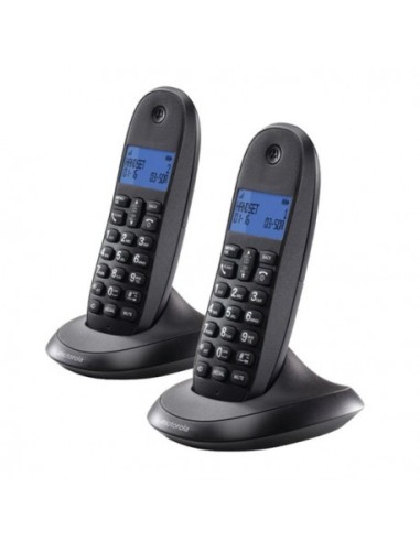 Motorola C1002 teléfono Teléfono DECT Identificador de llamadas Gris
