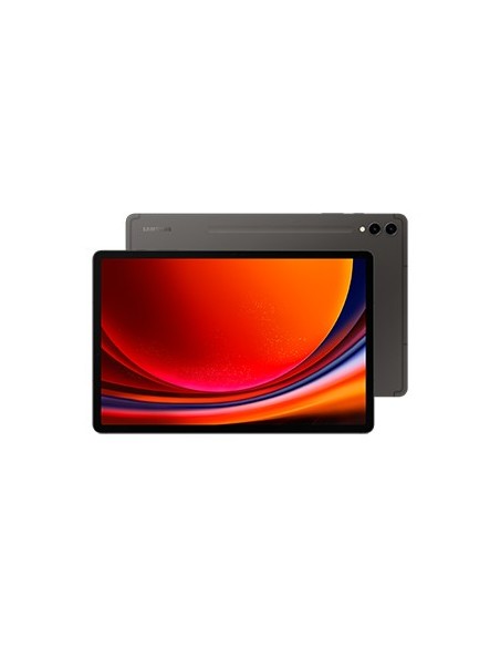 SAMSUNG GALAXY TAB S9+ WIFI 12 256 GRAY