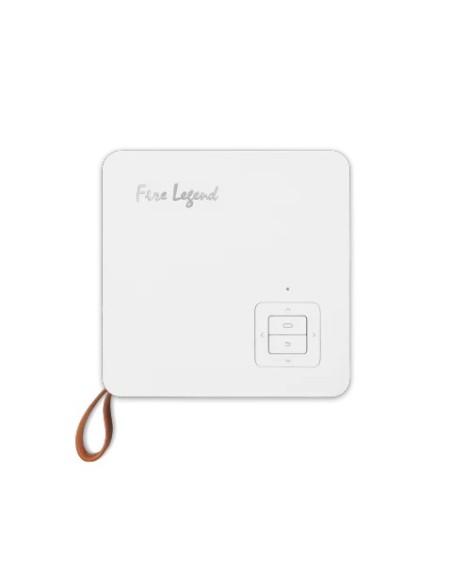 Acer PV11 videoproyector Proyector de alcance estándar DLP Blanco