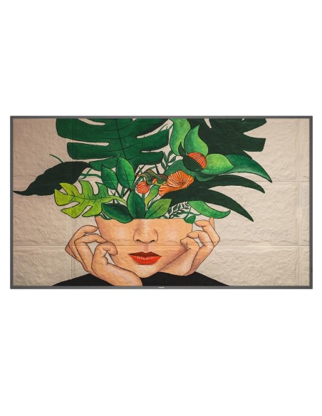 MONITOR PHILIPS 55" D-LINE   PANEL VA 8BIT D-LED 16 9   3840X2160 500CD M2   8MS   PIXEL PITCH 0.315 X 0.315   VESA 400X400 M6  