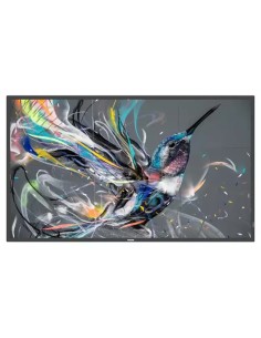 MONITOR PHILIPS 75" Q-LINE   PANEL IPS D-LED 16 9   3840X2160 400CD M2   8MS   PIXEL PITCH 0.429X0.429   VESA 600X400 M8   SOC M