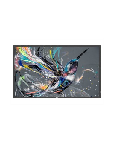 MONITOR PHILIPS 43" Q-LINE   PANEL IPS D-LED 16 9   3840X2160 400CD M2   8MS   PIXEL PITCH 0.245X0.245   VESA 200X200 M6   SOC M