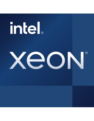 Intel Xeon E 2386G