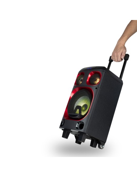 NGS Wild Ska Zero De 2 vías