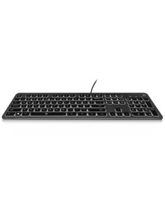 Ewent EW3269 teclado USB QWERTY Español Negro