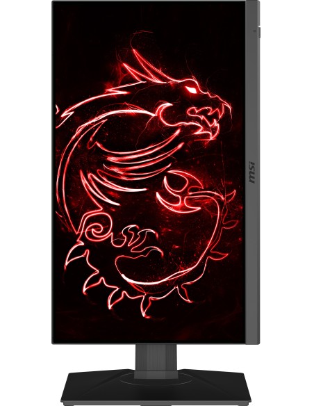 MSI Optix MAG245R2 23.8" Full HD 165Hz LCD IPS 1ms Negro