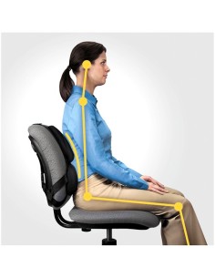 Fellowes Professional Series Negro Acolchado del asiento