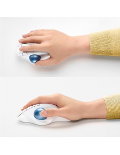 Logitech Ergo M575 ratón mano derecha RF inalámbrica + Bluetooth Trackball 2000 DPI