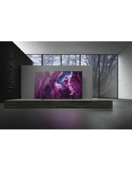 Sony FWD-55X95H T pantalla de señalización Pantalla plana para señalización digital 138,9 cm (54.7") LCD 4K Ultra HD Negro