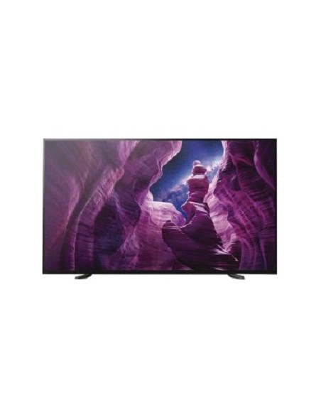 Sony FWD-65X95H T pantalla de señalización Pantalla plana para señalización digital 163,8 cm (64.5") LCD 4K Ultra HD Negro