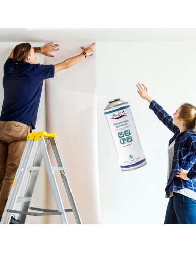 Ewent Spray de pegamento reposicionable