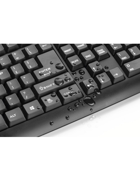 Trust CLASSICLINE KEYBOARD teclado USB QWERTY Español Negro