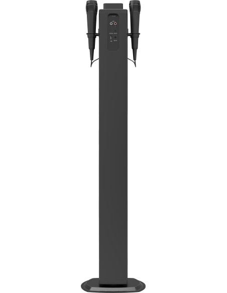 Brigmton BTW-40K altavoz 40 W Negro