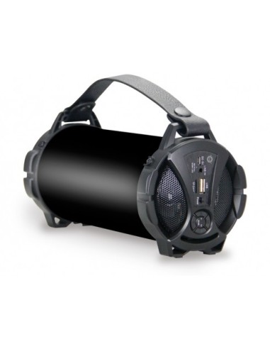 Conceptronic WYNN 01B 10 W 2.1 portable speaker system Negro