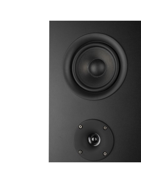 NGS Sky Gazer 120 W Sistema de altavoz portátil 2.1 Negro