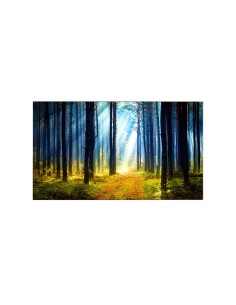 LG SIGNATURE 65WT980H Televisor 165,1 cm (65") 4K Ultra HD Smart TV Wifi Negro