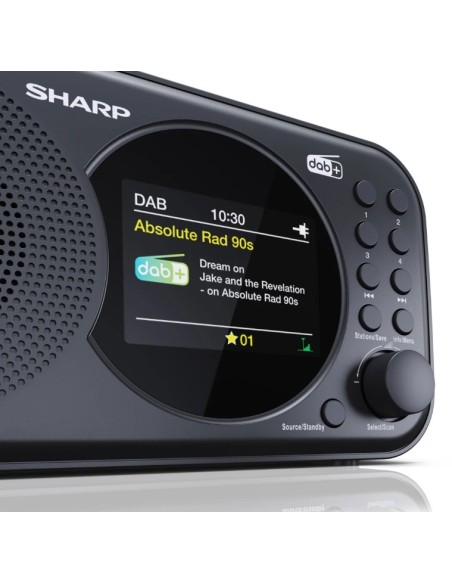 Sharp DR-P320 Portátil Digital Negro