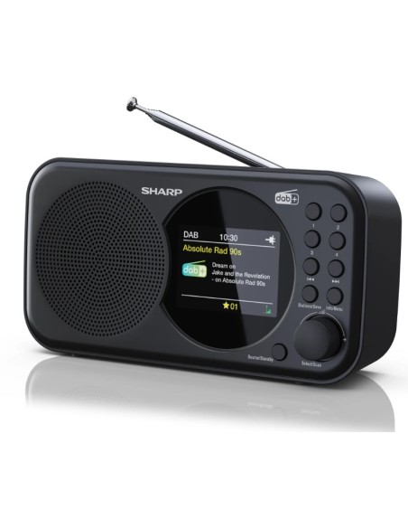 Sharp DR-P320 Portátil Digital Negro