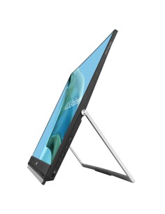 Asus ZenScreen MB249C 23.8" Full HD 75Hz LED IPS 5ms Negro