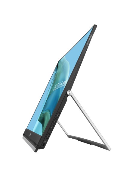 Asus ZenScreen MB249C 23.8" Full HD 75Hz LED IPS 5ms Negro