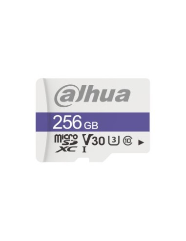 Dahua Technology C100 256 GB MicroSDXC UHS Clase 10