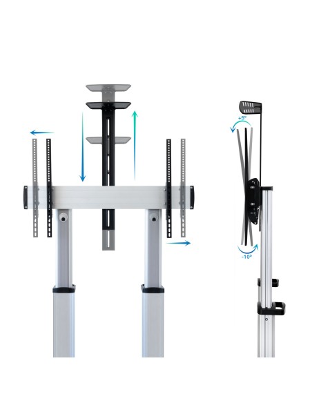 TooQ Partenón 2,54 m (100") Plata