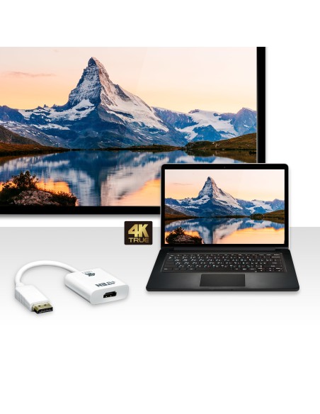 Aten VC986B-AT adaptador de cable de vídeo Blanco