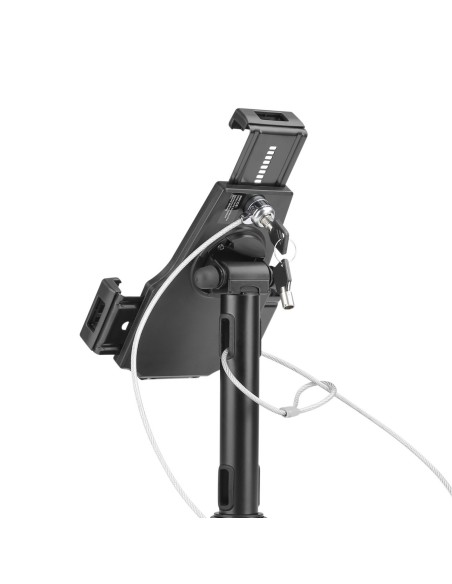 AISENS Soporte Antirobo de Sobremesa   Pared Ajustable (1 Pi