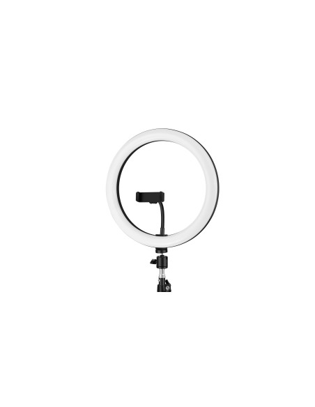 iggual Kit Anillo luz LED 10" + Trípode 200 cm