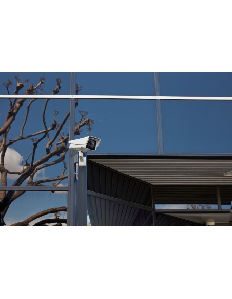 Kingston Technology SDIT 8GB memoria flash SDXC UHS-I Clase 10