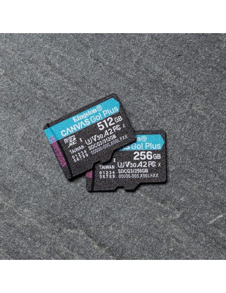 Kingston Technology Canvas Go! Plus memoria flash 256 GB MicroSD UHS-I Clase 10