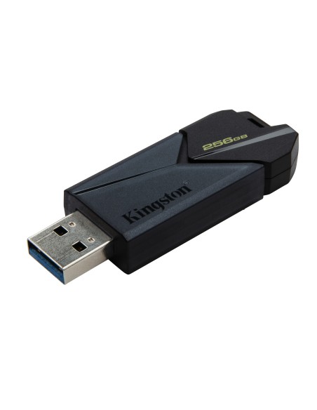 Kingston Technology DataTraveler Exodia Onyx unidad flash USB 256 GB USB tipo A 3.2 Gen 1 (3.1 Gen 1) Negro