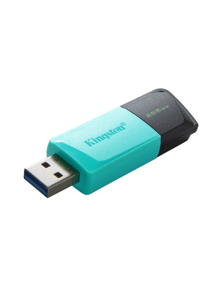 Kingston Technology DataTraveler Exodia M unidad flash USB 256 GB USB tipo A 3.2 Gen 1 (3.1 Gen 1) Negro, Turquesa