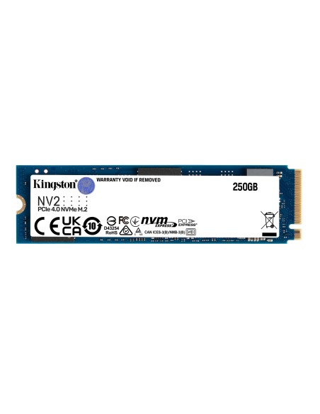 Kingston Technology 250GB M.2 NVMe Negro