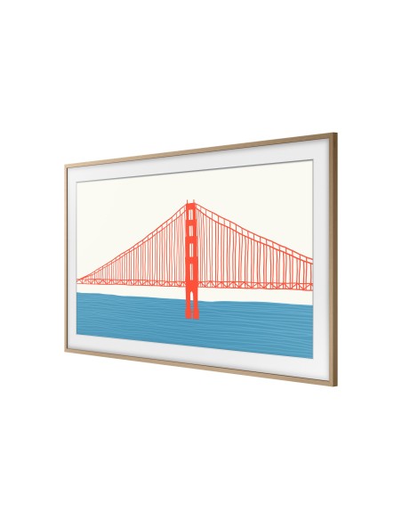 Samsung VG-SCFA50TKB XC accesorio para televisor