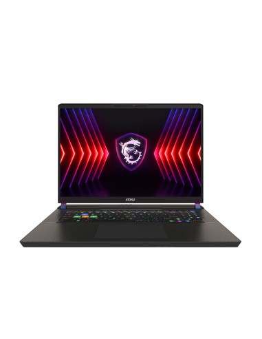 MSI Vector 17HX-234 i7-14700HX 32 1TB 4060 DOS 17"