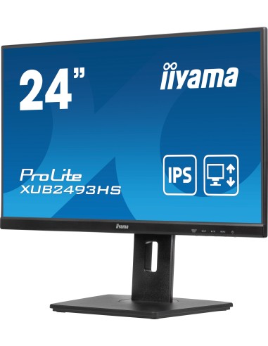 24"W LCD Business Full HD IPS