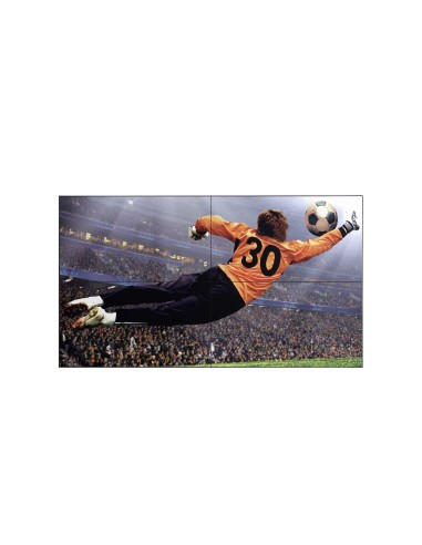 49"1920X1080(FHD)50024 7H&V