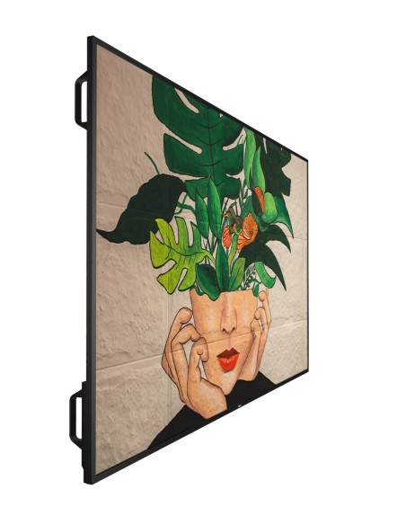 MONITOR 65 SERIE D-LINE